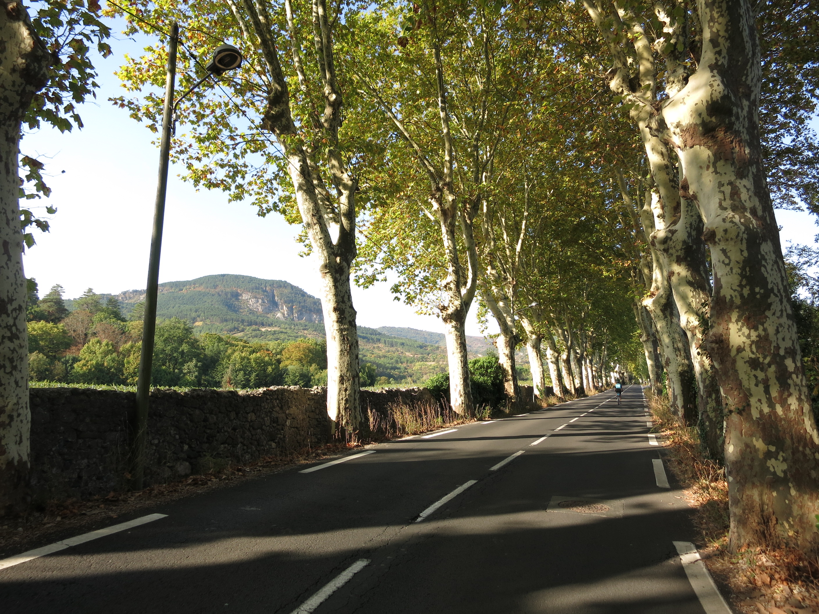 Sortie de Lodève: on est dans le Sud.