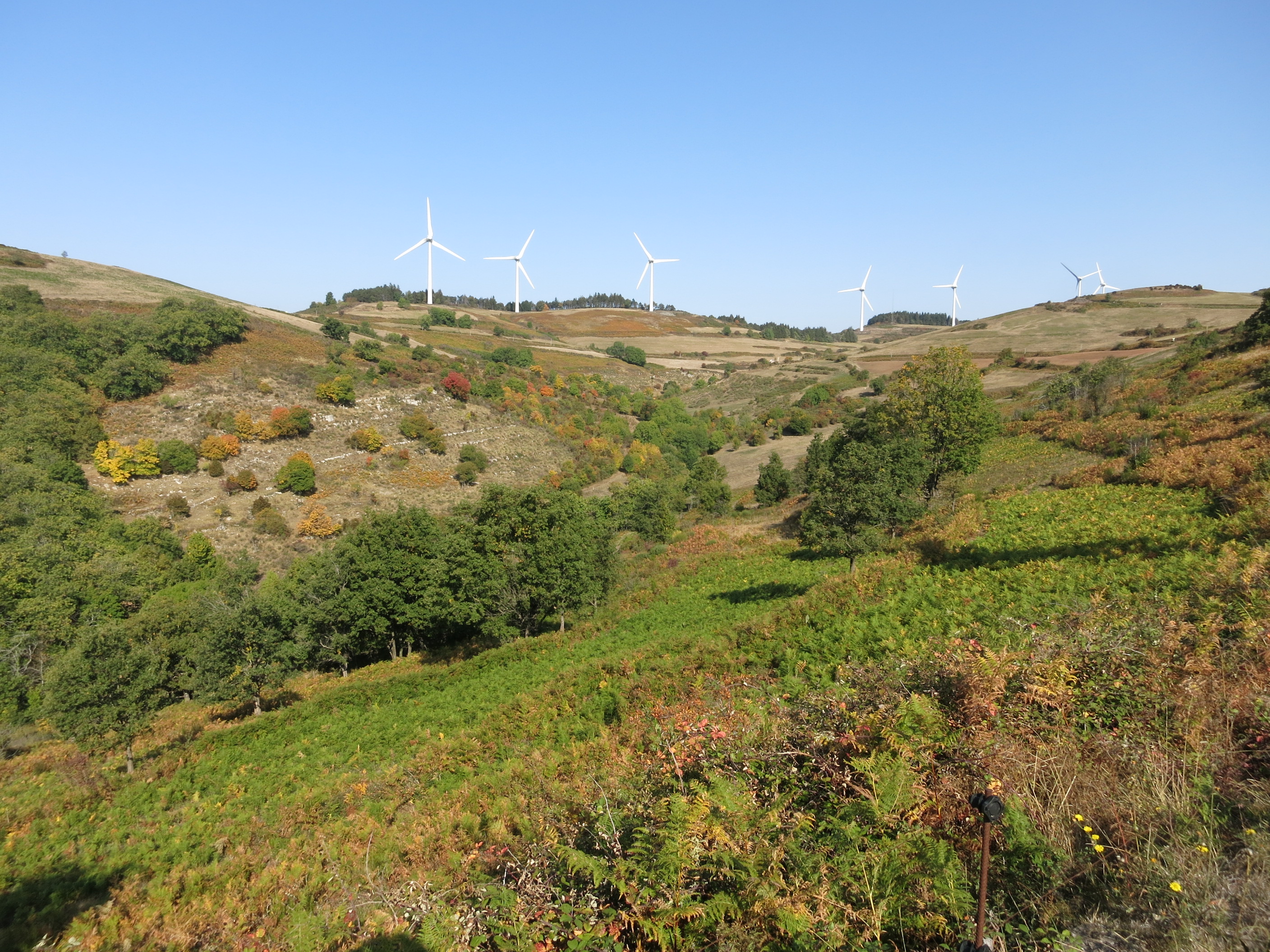 Après le Col de la BAraque de Bral, le plateau de l'Escandorgue t les couleurs d'automne commencent