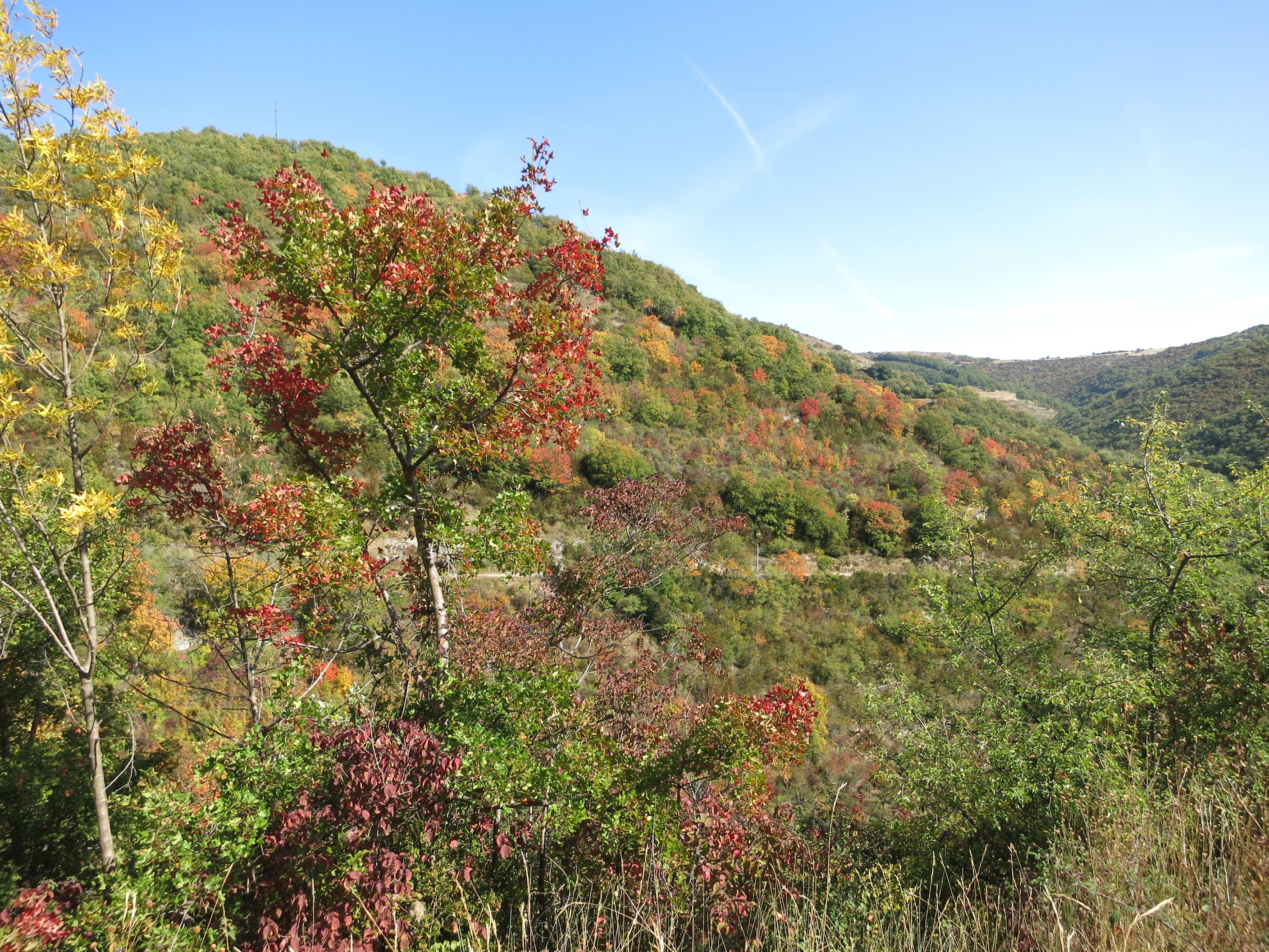 Encore et toujours les couleurs flamboyantes.