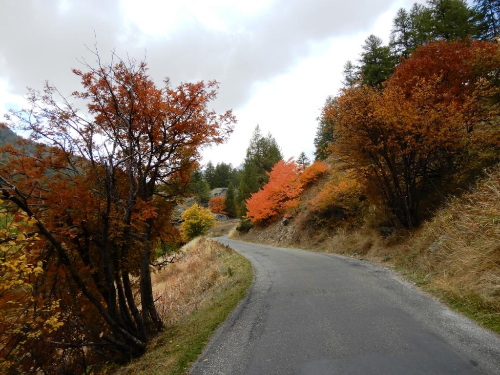 Couleurs d'automne