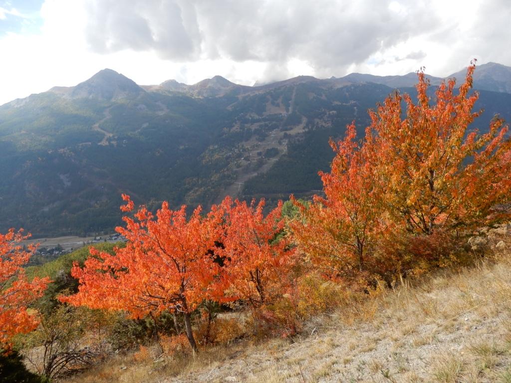 Feu de Couleurs en Montagne. En face : Domaine skiable de Serre-Chevalier