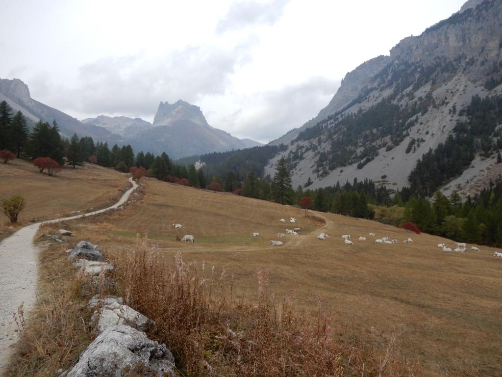 Tranquilles, face au Mont Thabor