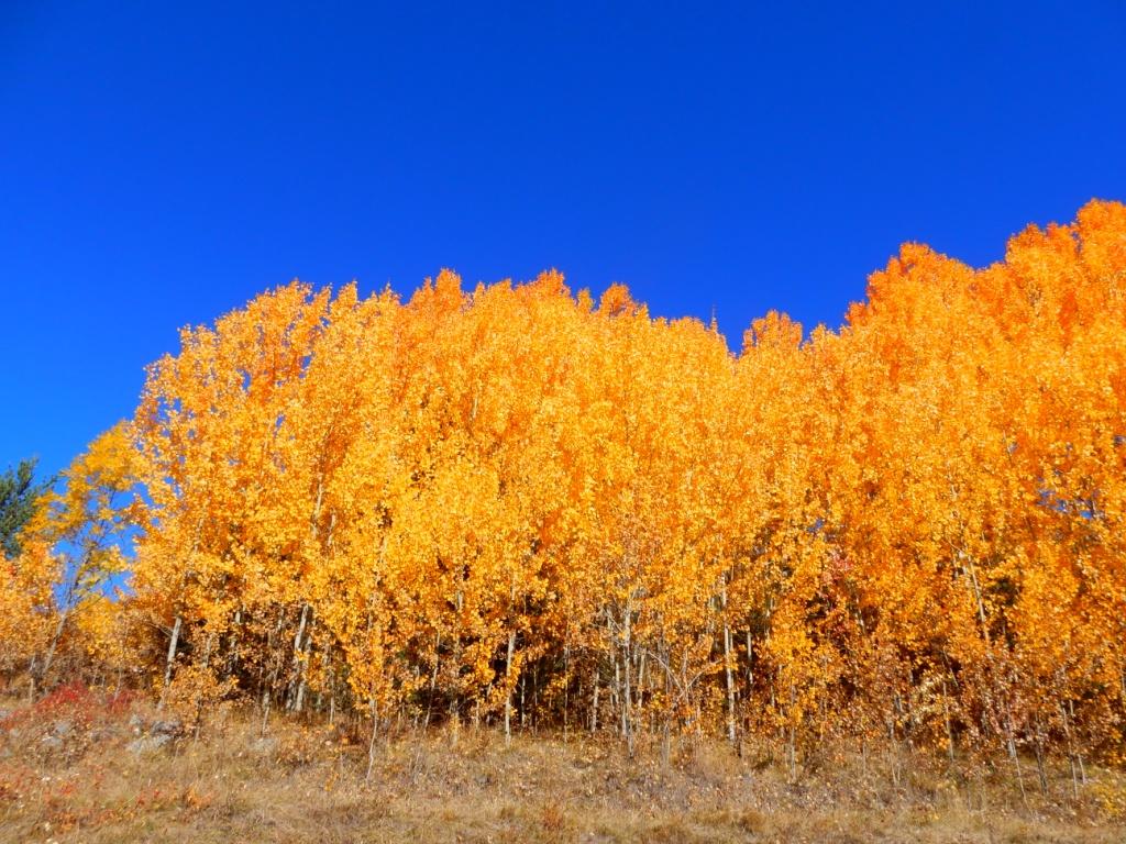 Incendie de couleurs !
